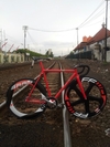 BATANTRAX RED photo