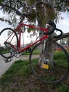 Battaglin pista FOR SALE photo