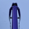 Battaglin pursuit pista photo