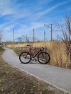 Bearbike Torino photo