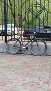 Bearbike Torino photo