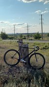 Bearbike Torino photo