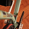 bianchi photo