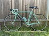 Bianchi Alloro (52cm) photo