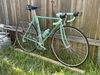 Bianchi Alloro (52cm) photo