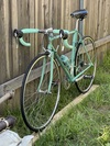 Bianchi Alloro (52cm) photo