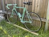 Bianchi Alloro (52cm) photo