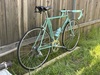 Bianchi Alloro (52cm) photo