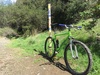 1999 Bianchi B.A.S.S photo