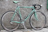 Bianchi Caurus Columbus Max photo