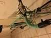 Bianchi Celeste Rekord - Dedacciai Zero photo