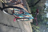 Bianchi C.U.S.S. photo