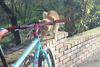 Bianchi C.U.S.S. photo