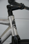 Bianchi D2 100% Custom photo