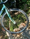 Bianchi dedacciai zero tre photo Bianchi dedacciai zero tre photo