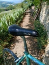 Bianchi dedacciai zero tre photo Bianchi dedacciai zero tre photo