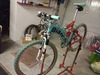 BIANCHI FX 50 photo