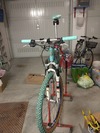 BIANCHI FX 50 photo