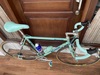 Bianchi Genius photo