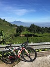 Bianchi Infinito Tricolore Italian Flag photo