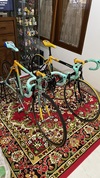 Bianchi Mega Pro L Mercatone Uno photo