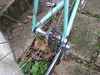 Bianchi Megaset titanium x Record TI photo