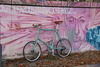 Bianchi Minivelo photo