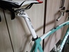 Bianchi Nirone 7 photo