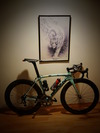 Bianchi OXR2 photo