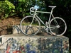 Bianchi Pista 2007 photo