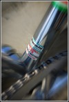 Bianchi Pista Chrome photo