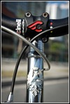 Bianchi Pista Chrome photo