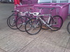 Bianchi Pista Chrome photo