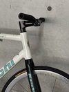 Bianchi pista concept white photo