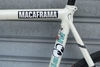 Bianchi pista concept white photo