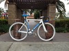 Bianchi pista Dalmine photo