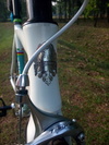 2012 Bianchi Pista Sei Giorni photo