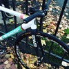 Bianchi Pista Sei Giorni photo