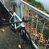 Bianchi Pista Sei Giorni photo