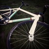 Bianchi Pista Sei Giorni photo