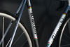 Bianchi Pista Steel 2011 photo