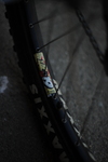 Bianchi Racing Colombus pulse photo