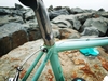 Bianchi Rekord 920 photo