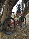 Bianchi Rita SS Hardtail 29er photo