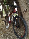 Bianchi Rita SS Hardtail 29er photo