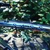 Bianchi S.A.S.S. photo