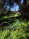 Bianchi Souper Pista photo