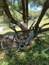 Bianchi Souper Pista photo