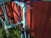 Bianchi Specialissima X4 photo