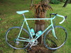 Bianchi Specialissima X4 photo